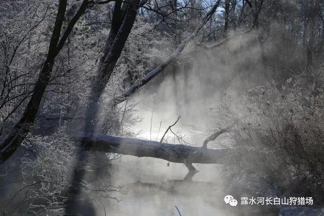 陕西潼关文化IP上新 “潼小兵”促文旅融合新发展