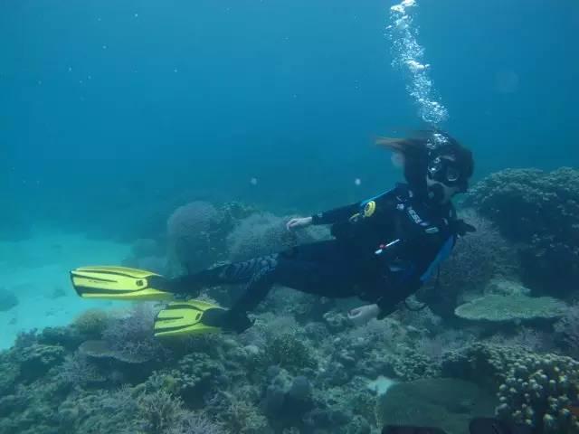 逃离森林湖畔